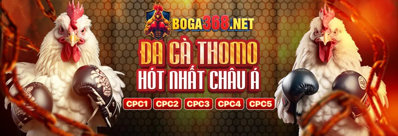 Đá gà trực tuyến kịch tính tại hi678 trang chủ chính thức